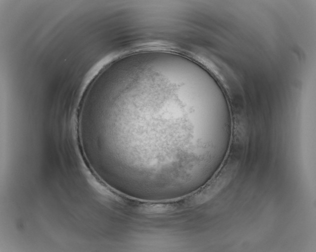 X0000112811474200908211133