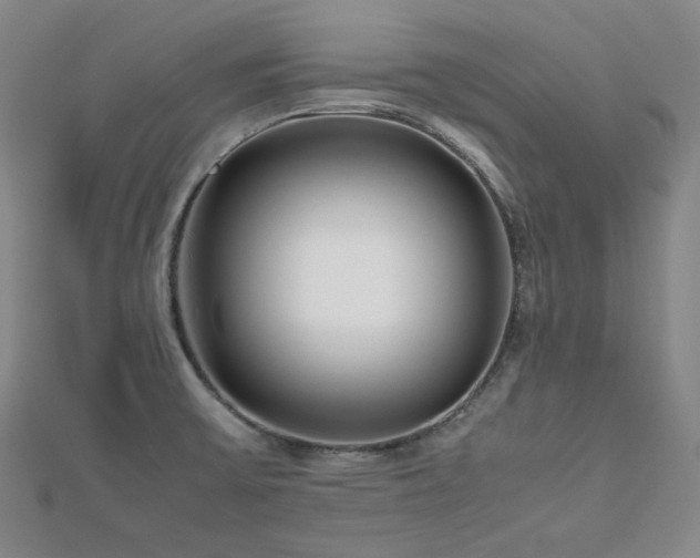 X0000112811475200908211133