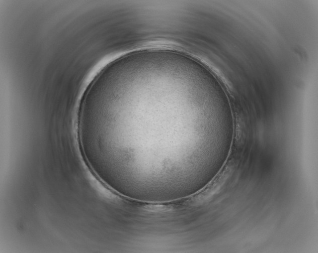 X0000112811478200908211133
