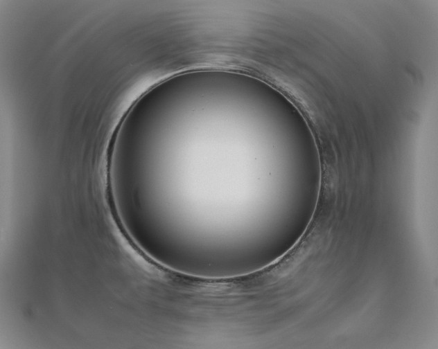 X0000112811479200908211133
