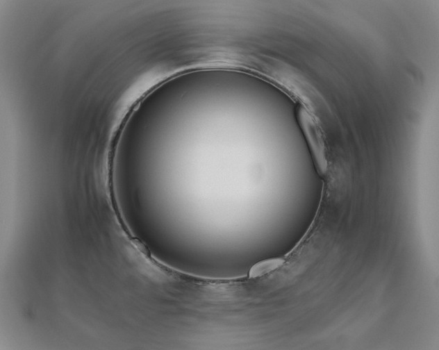X0000112811480200908211133