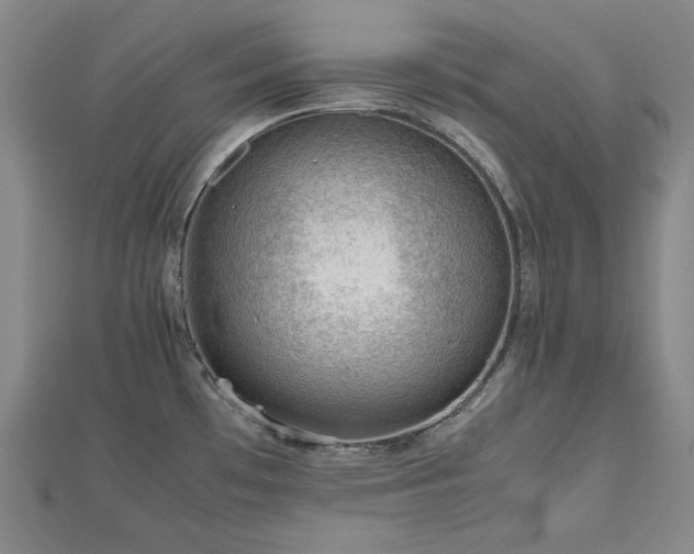 X0000112811481200908211133