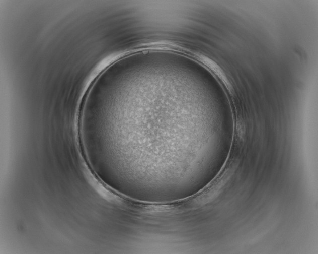 X0000112811482200908211133