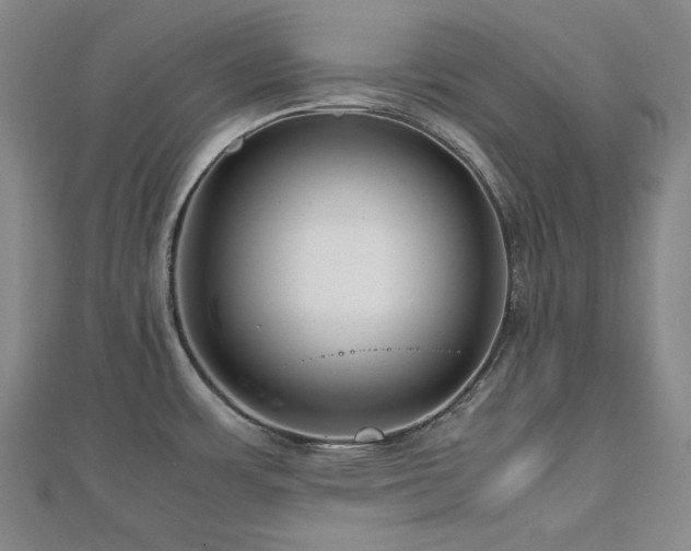 X0000112811483200908211133