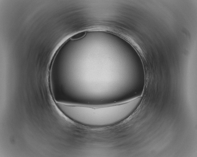 X0000112811484200908211133