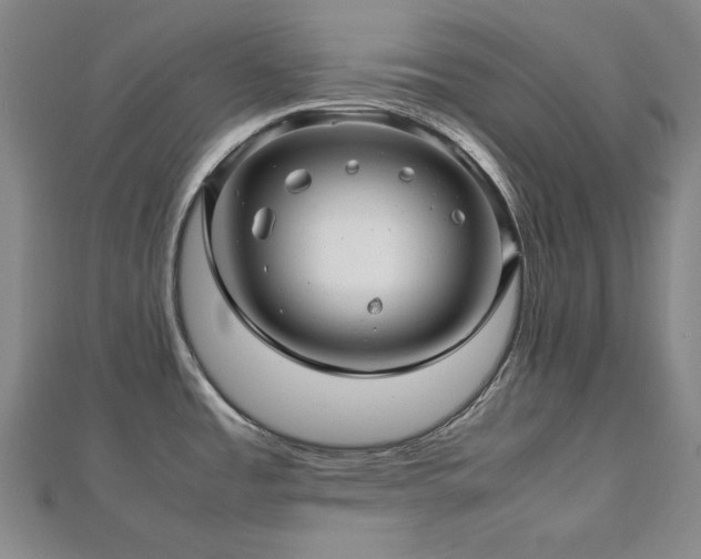 X0000112811485200908211133