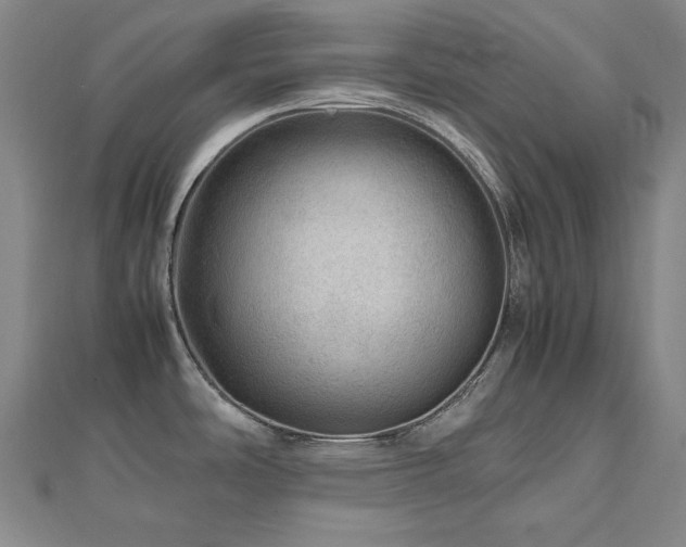 X0000112811486200908211133