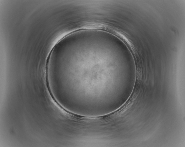 X0000112811487200908211133