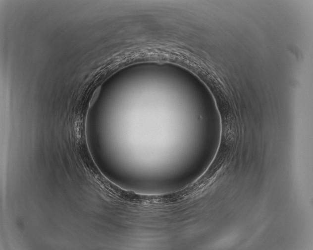 X0000112811490200908211132