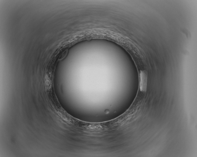 X0000112811491200908211133
