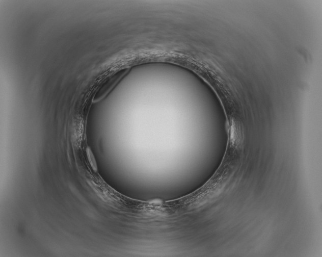 X0000112811492200908211133