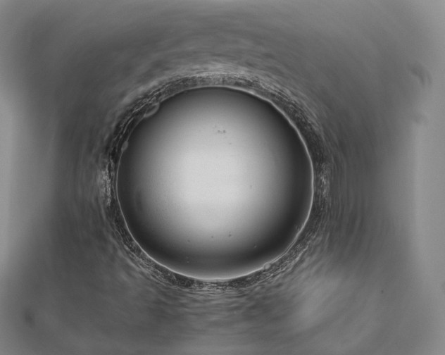 X0000112811493200908211133