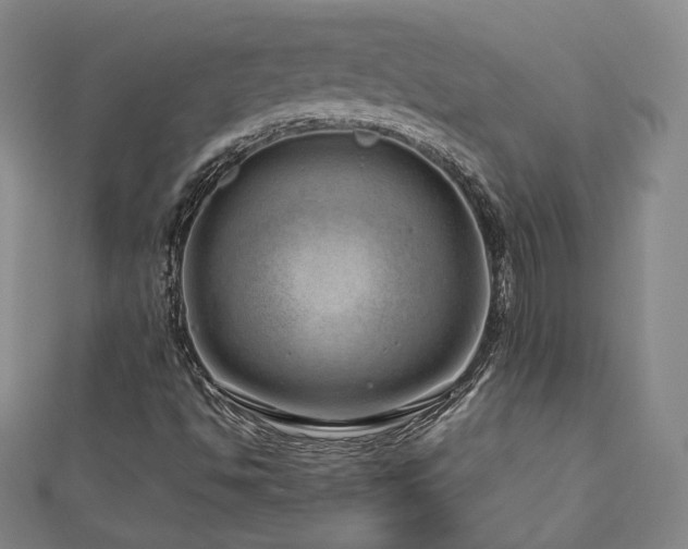 X0000112811494200908211133