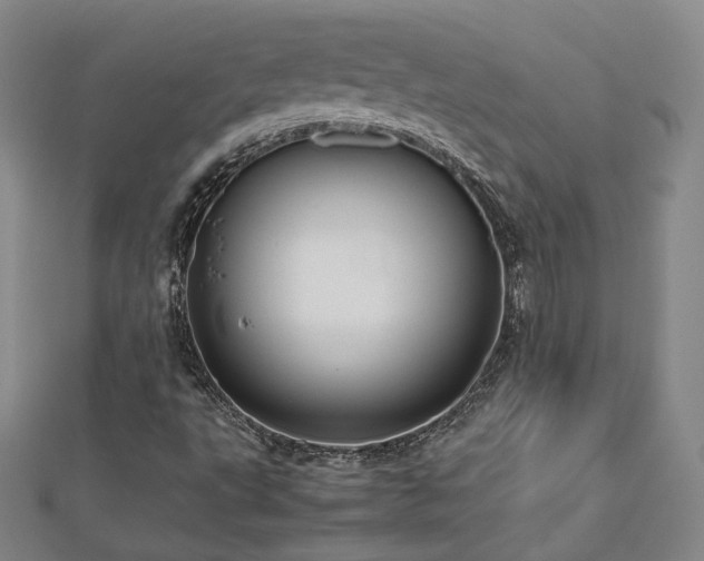 X0000112811495200908211133