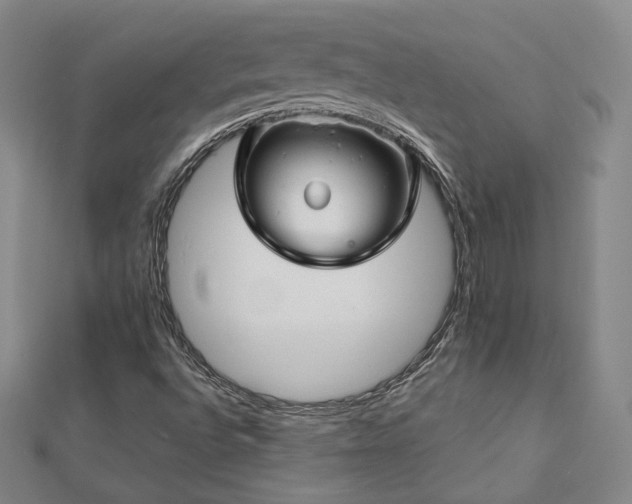 X0000112811496200908211133