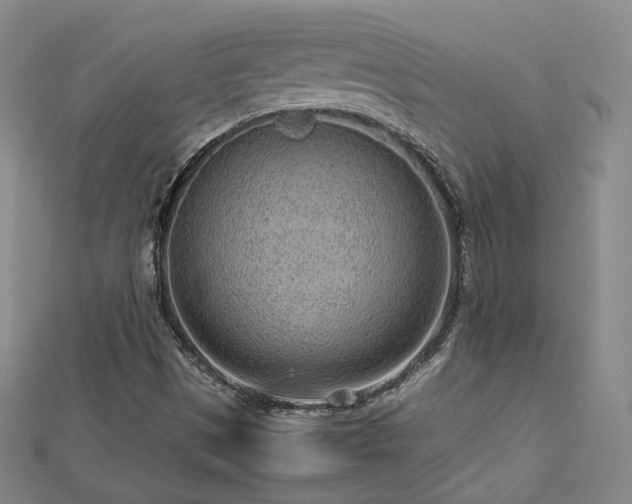 X0000112811497200908211133