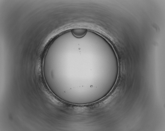 X0000112811498200908211133