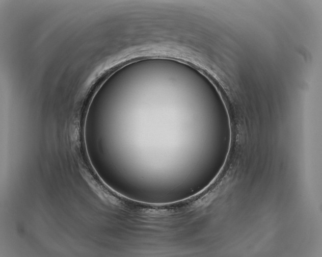 X0000112811499200908211133