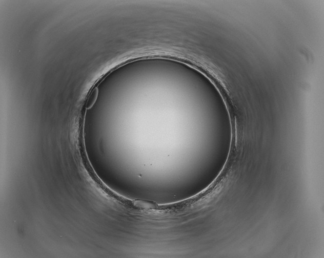 X0000112811500200908211133