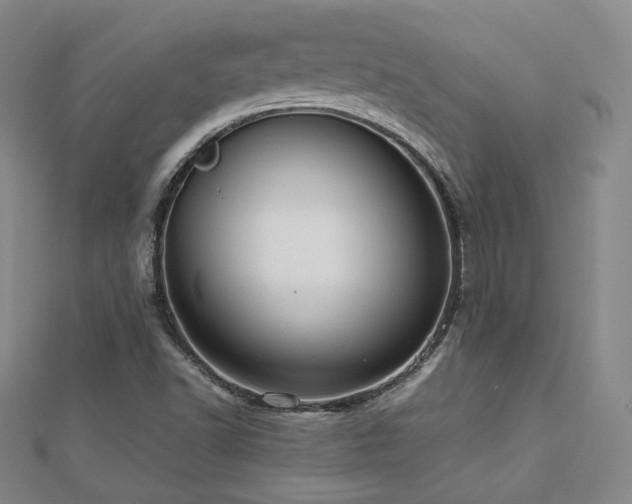 X0000112811502200908211133