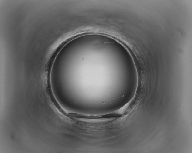 X0000112811503200908211133