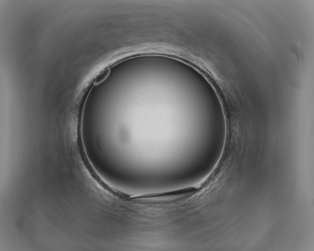 X0000112811504200908211133