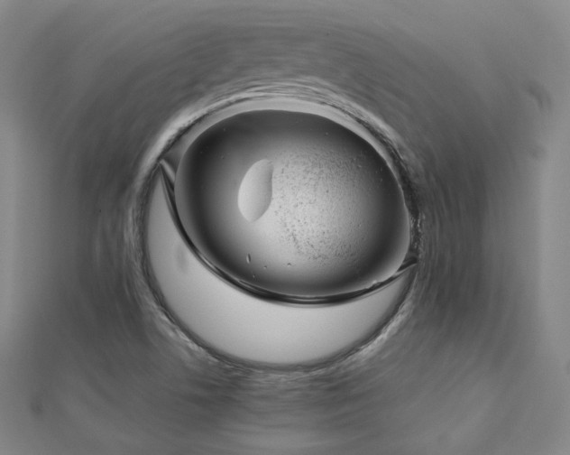 X0000112811506200908211133