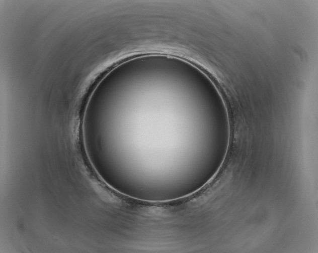 X0000112811507200908211133