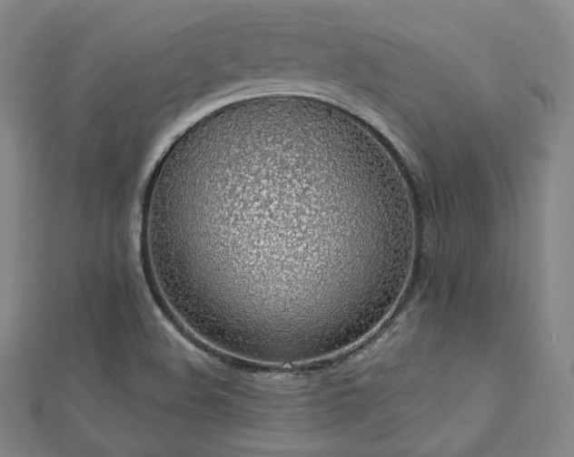X0000112811508200908211133