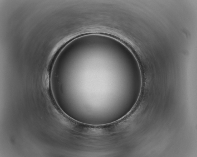 X0000112811509200908211133