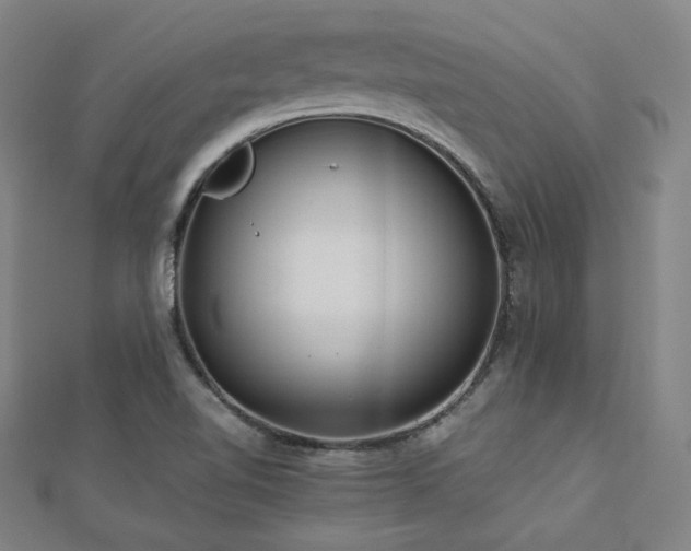 X0000112811510200908211133