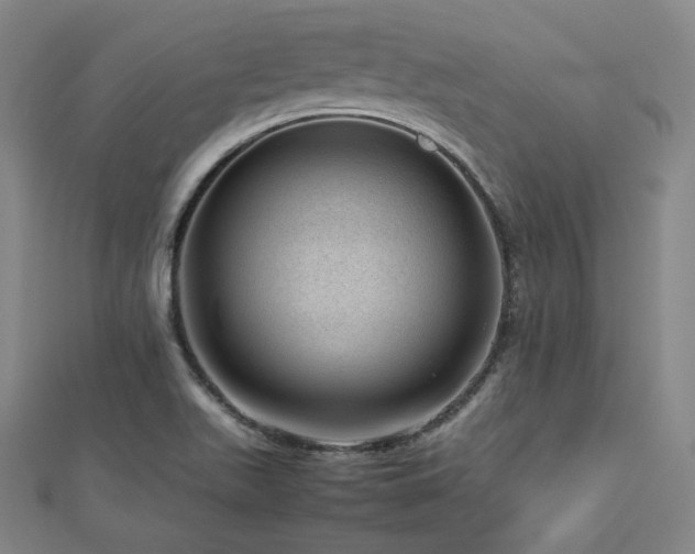 X0000112811511200908211133