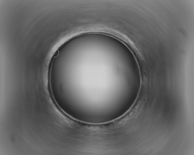 X0000112811512200908211133