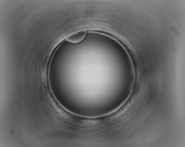 X0000112811513200908211133