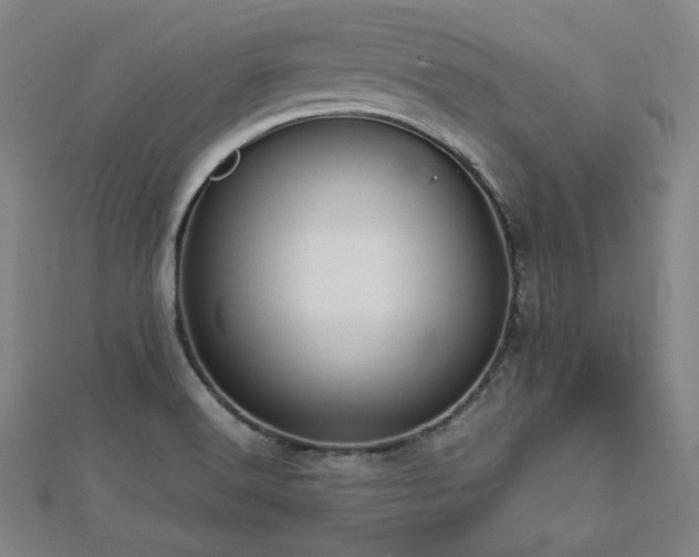 X0000112811516200908211133