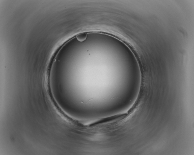 X0000112811517200908211133