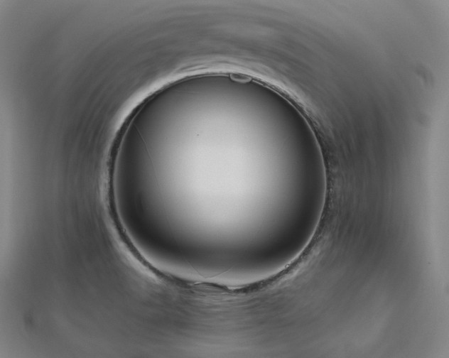 X0000112811518200908211133