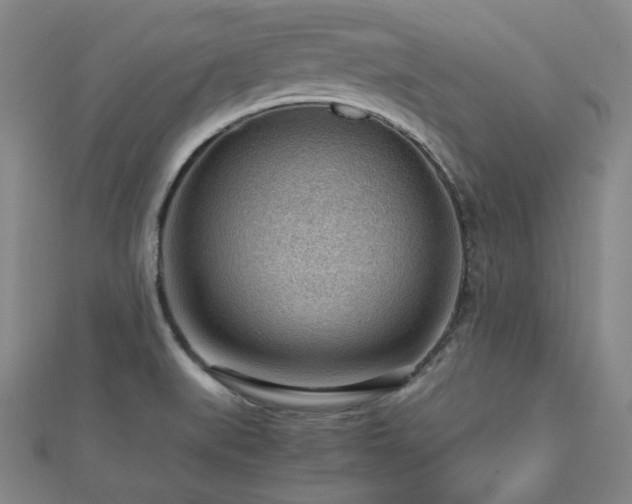 X0000112811519200908211133