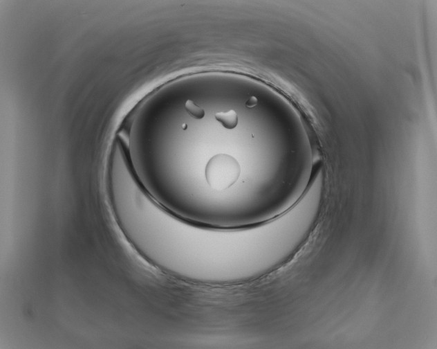 X0000112811520200908211133
