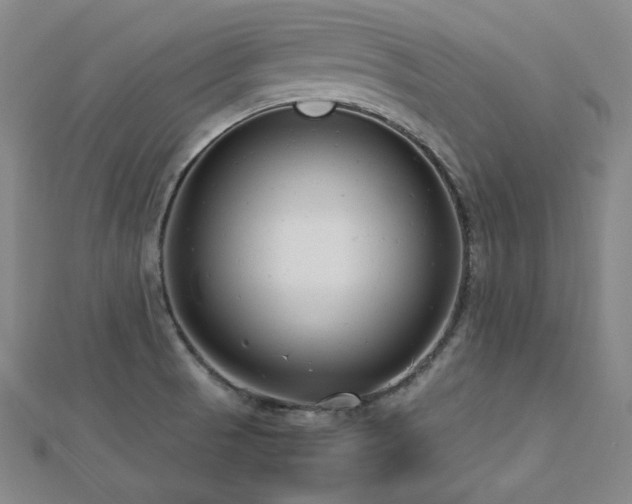 X0000112811521200908211133
