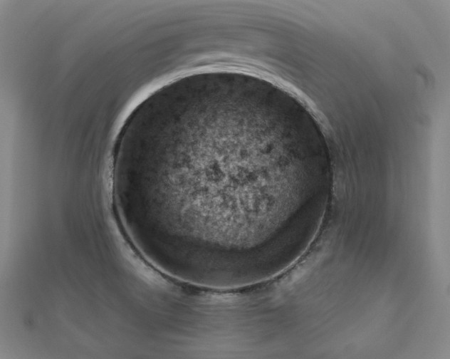 X0000112811522200908211133