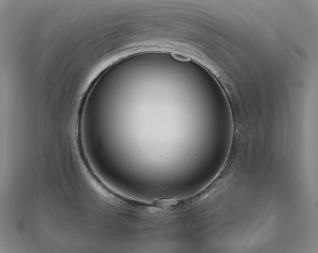 X0000112811523200908211133