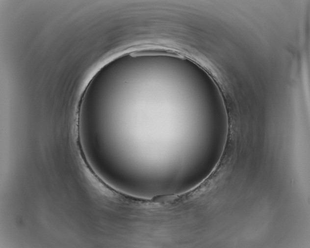 X0000112811524200908211133