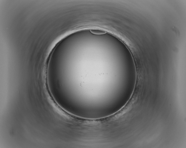 X0000112811526200908211133