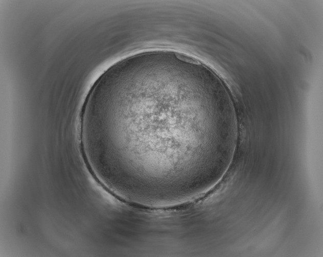 X0000112811527200908211133