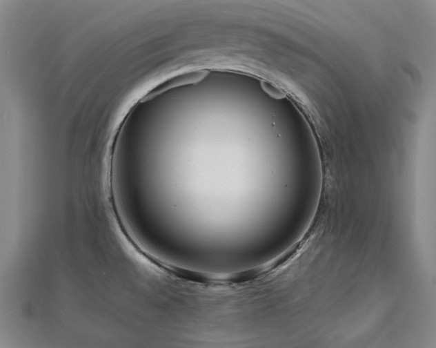X0000112811528200908211133