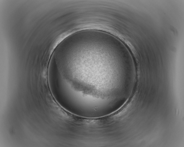 X0000112811529200908211133