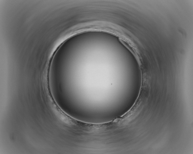 X0000112811530200908211133