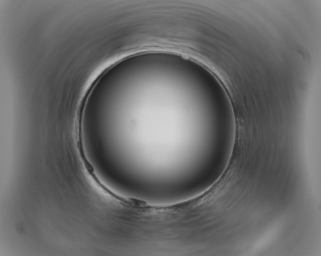 X0000112811531200908211133