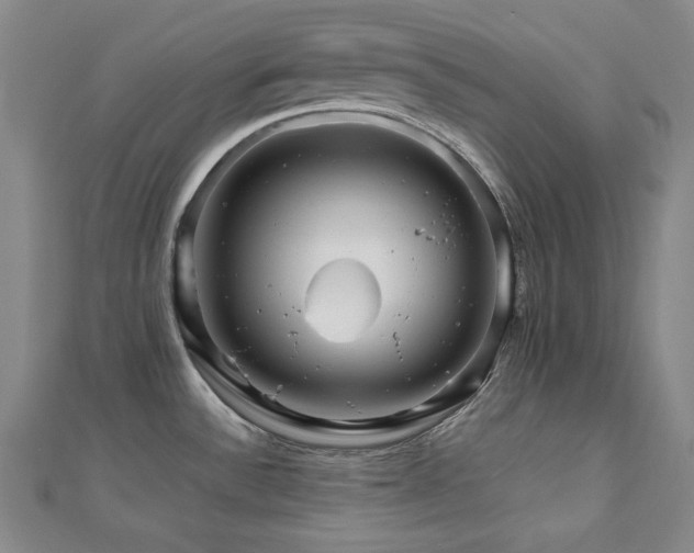 X0000112811532200908211133